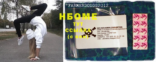 прущие грибы Верхнеуральск