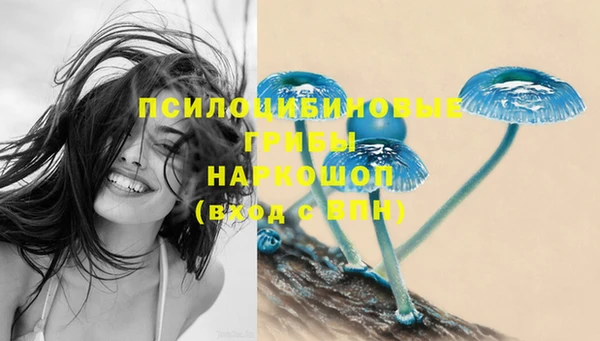 ПСИЛОЦИБИНОВЫЕ ГРИБЫ Верхний Тагил