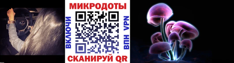 Галлюциногенные грибы Psilocybe  Купить где  Туринск 