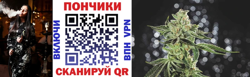 Марихуана Bruce Banner  Купить  Туринск 